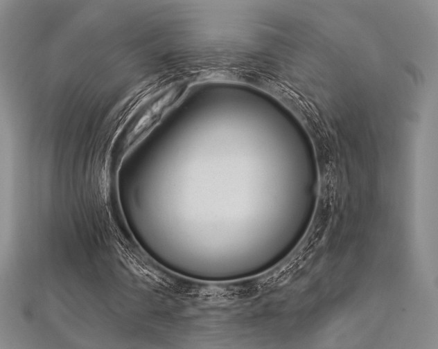 X0000112720290200908201254