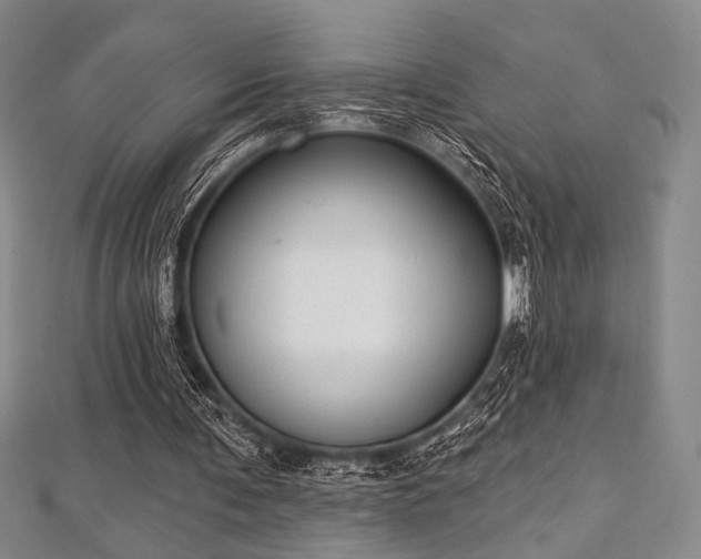 X0000112720291200908201254