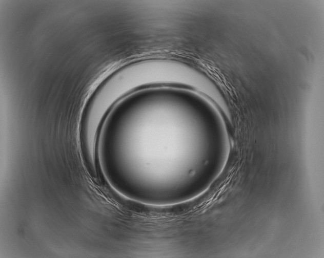 X0000112720292200908201254