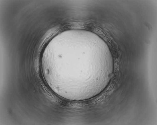 X0000112720293200908201254