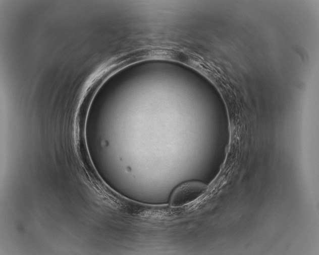 X0000112720294200908201254