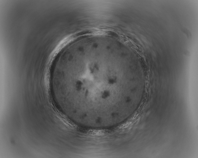 X0000112720295200908201254