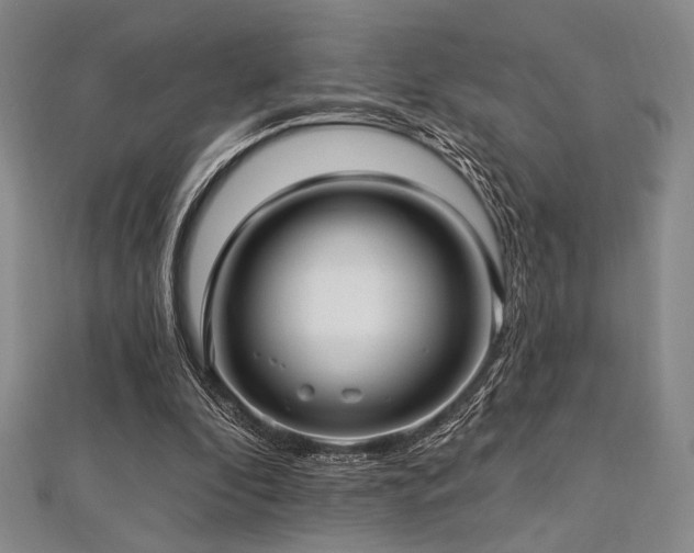 X0000112720296200908201254