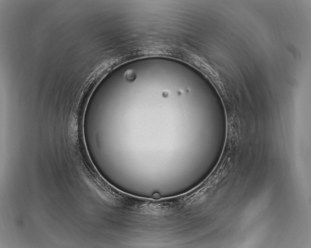 X0000112720298200908201254