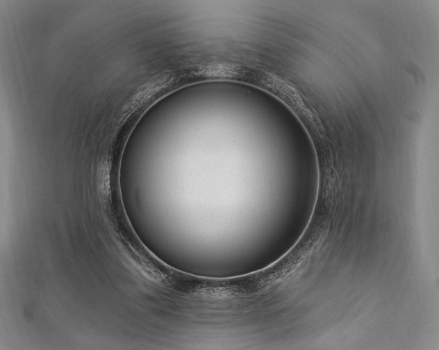 X0000112720299200908201254