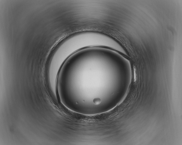 X0000112720300200908201254