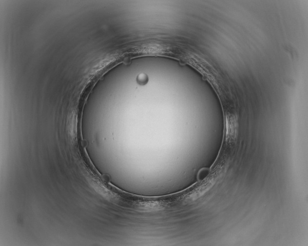 X0000112720301200908201254