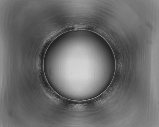 X0000112720303200908201254