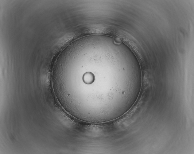 X0000112720305200908201254
