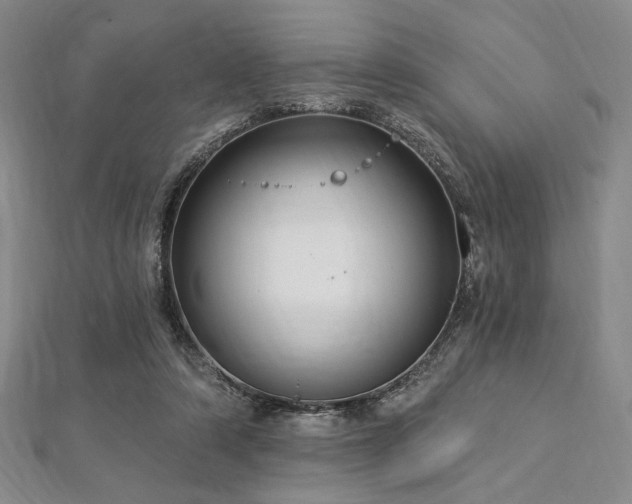 X0000112720306200908201254
