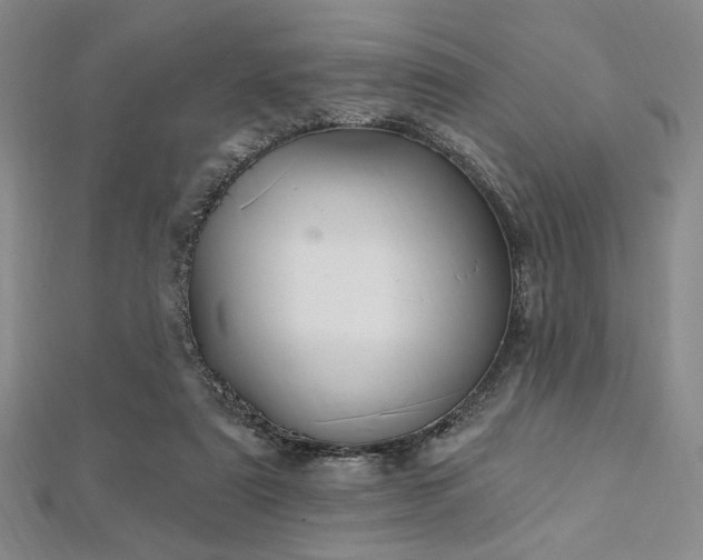 X0000112720307200908201254