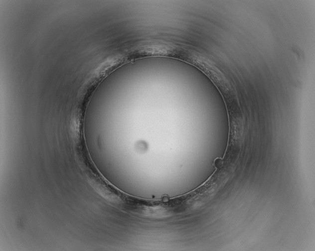 X0000112720309200908201254