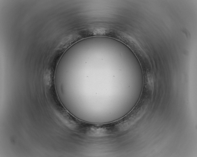 X0000112720311200908201254