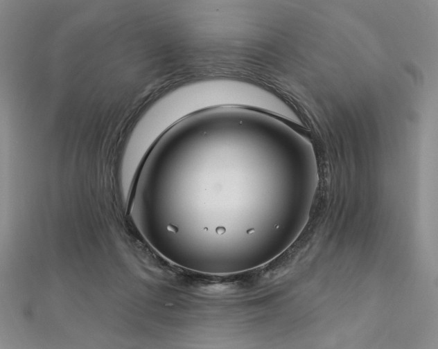 X0000112720312200908201254