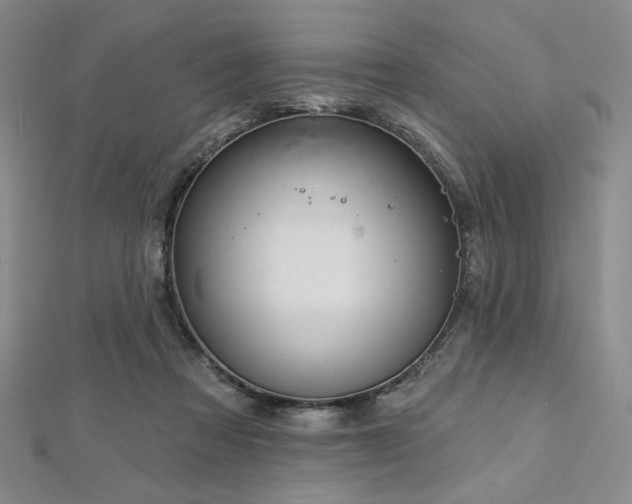 X0000112720313200908201254