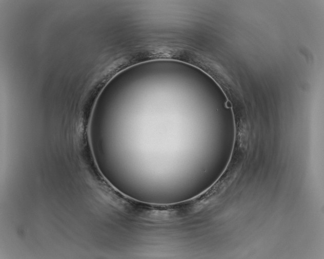 X0000112720314200908201254