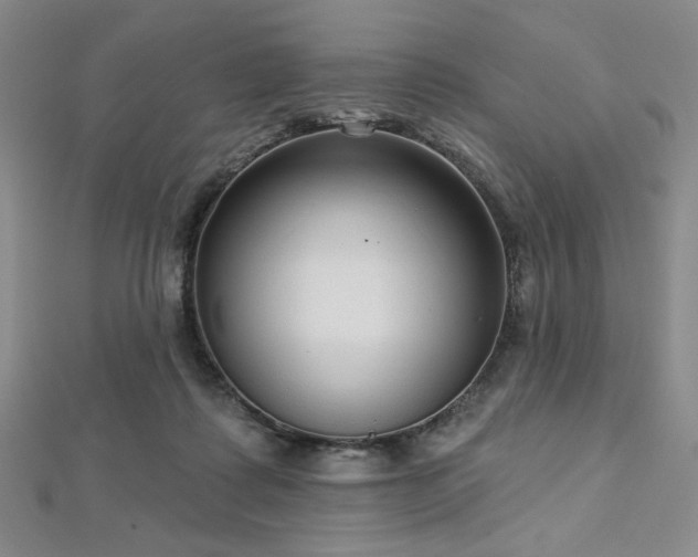 X0000112720315200908201254