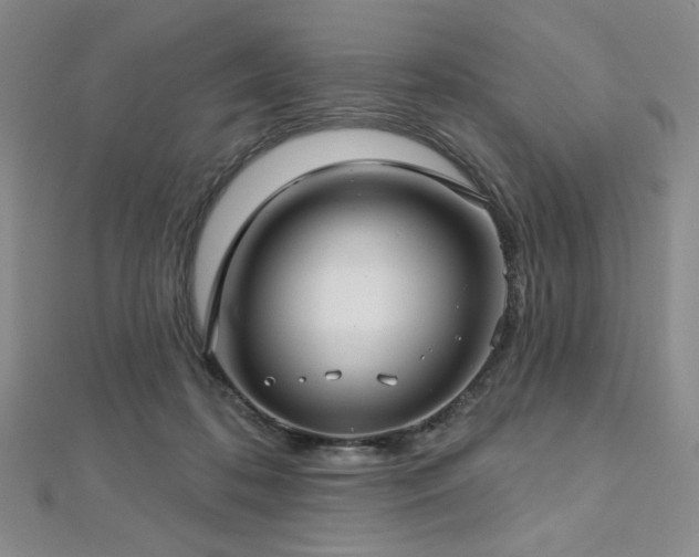 X0000112720316200908201253
