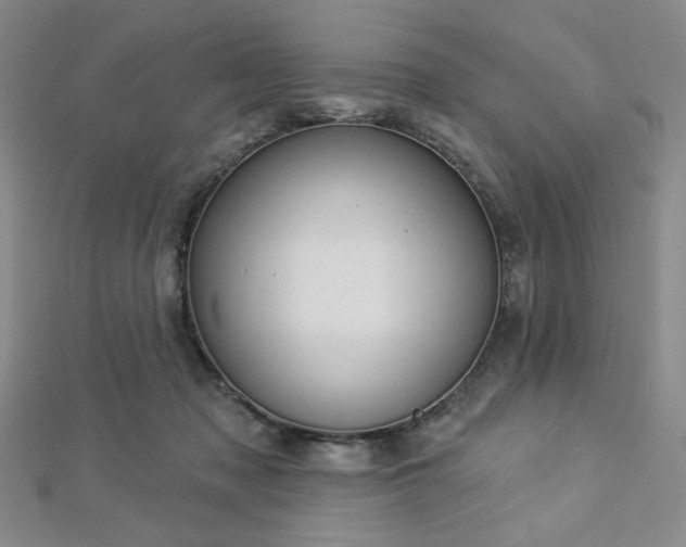 X0000112720317200908201253