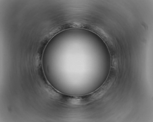 X0000112720318200908201253