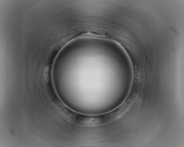 X0000112720319200908201253