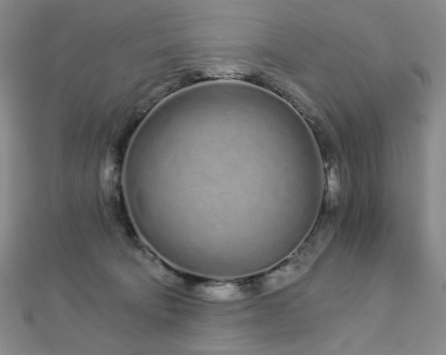 X0000112720322200908201253