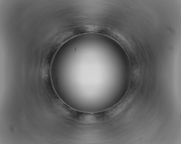 X0000112720325200908201253