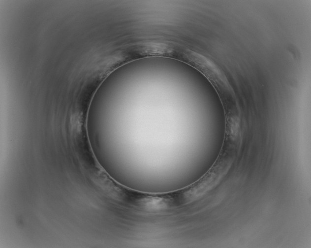X0000112720326200908201253