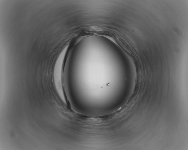 X0000112720328200908201253