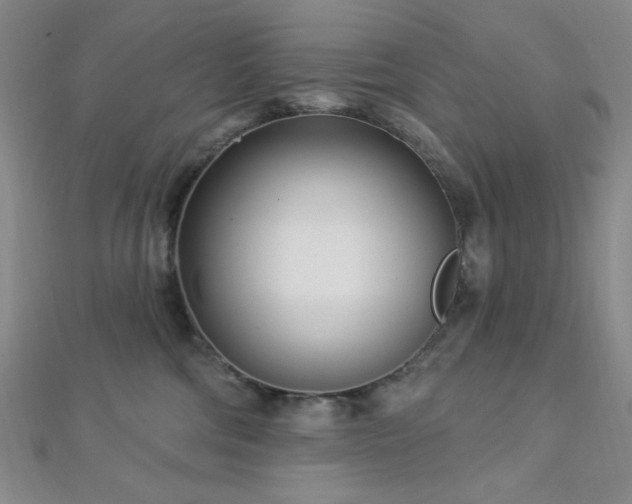 X0000112720330200908201253