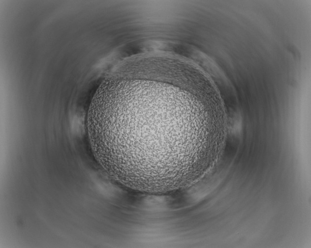 X0000112720332200908201253