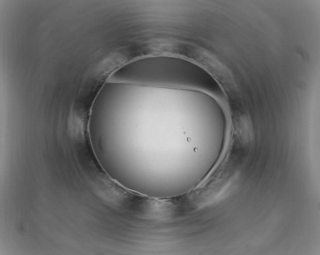 X0000112720333200908201253