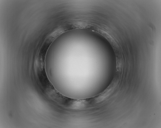 X0000112720334200908201253