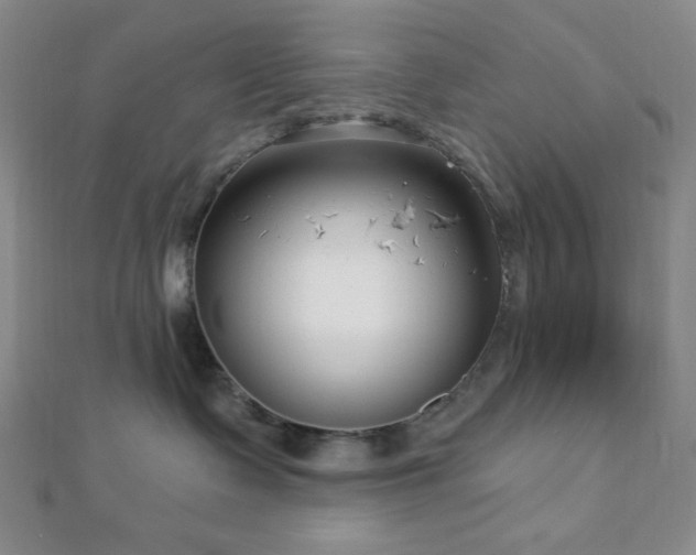X0000112720335200908201253