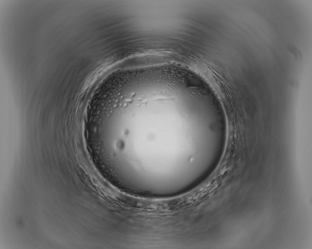 X0000112720337200908201252