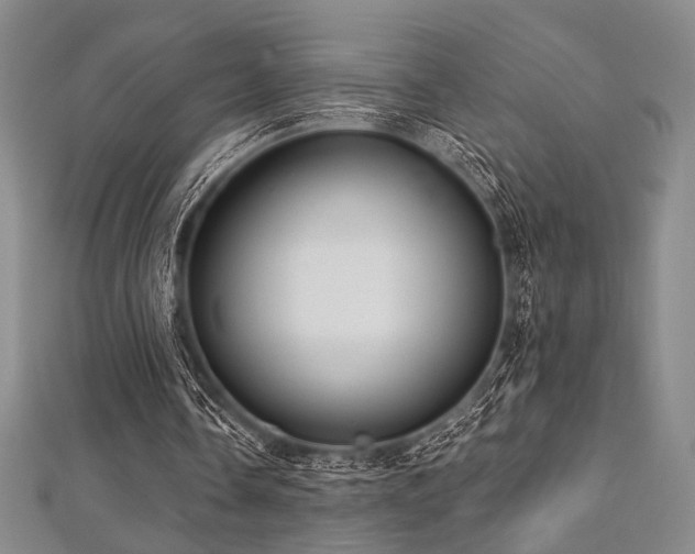X0000112720338200908201252