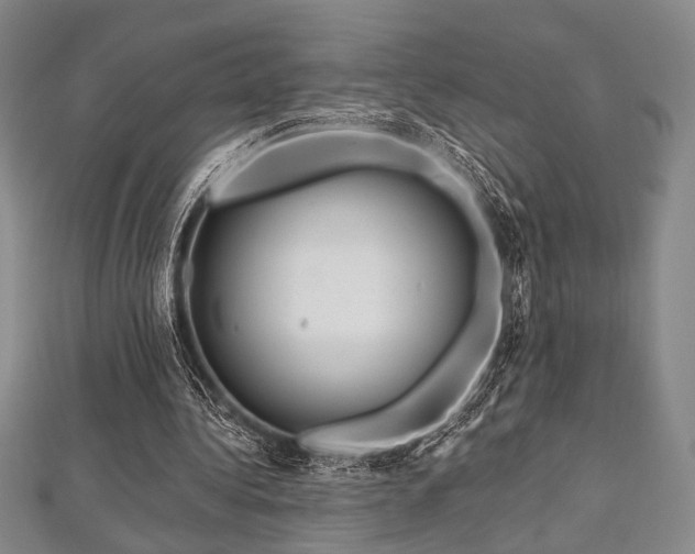 X0000112720340200908201252