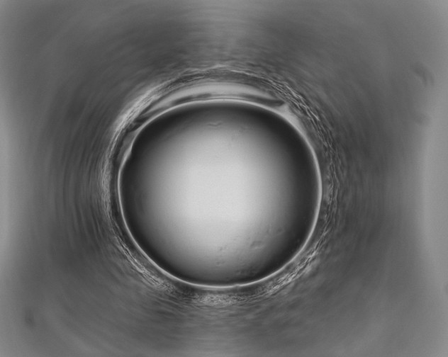 X0000112720341200908201252