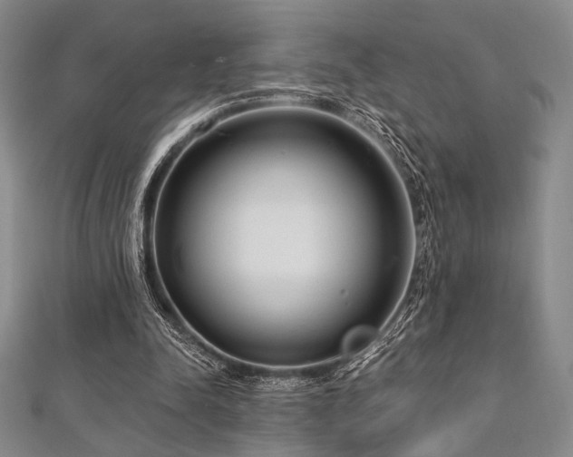 X0000112720342200908201253