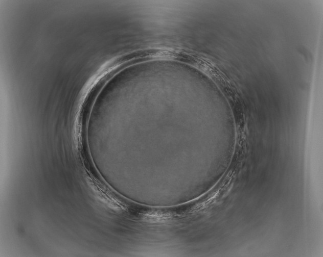 X0000112720343200908201253