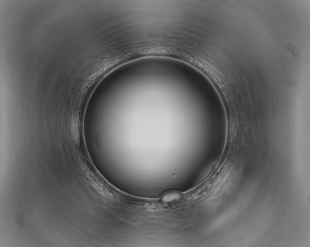 X0000112720345200908201253