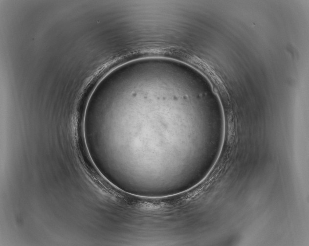 X0000112720346200908201253