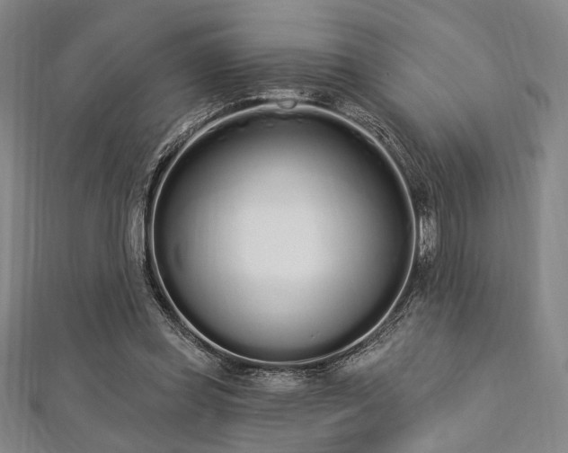 X0000112720349200908201253