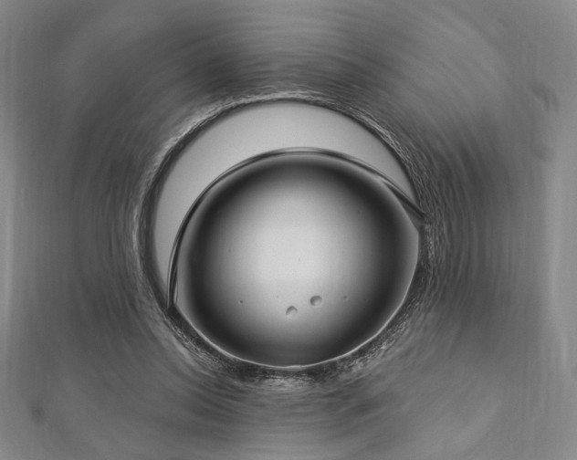 X0000112720350200908201253