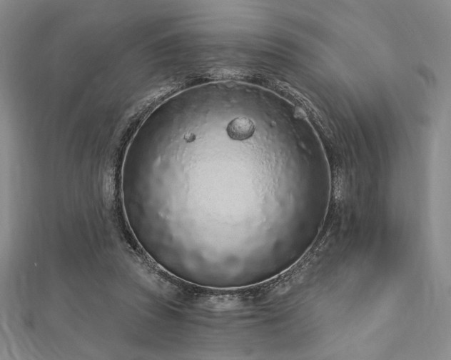 X0000112720353200908201253