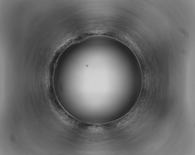 X0000112720354200908201253