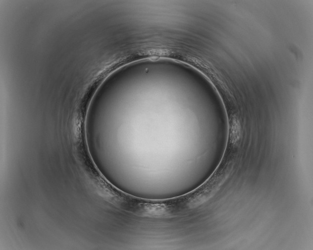 X0000112720355200908201253