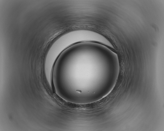 X0000112720356200908201253