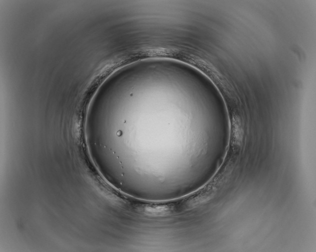 X0000112720357200908201253