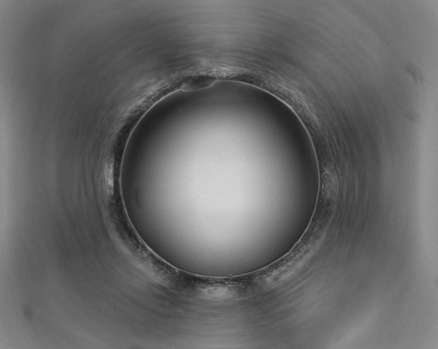 X0000112720358200908201253
